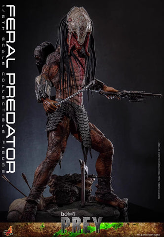 HotToys TMS114 Feral Predator 1/6 Scale 37cm / 14.57''