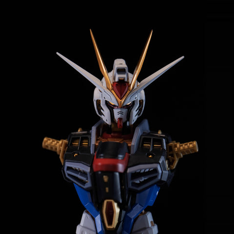 Minerva Hobby Head Kit for MG MGEX Mighty Strike Freedom 1/100 Scale