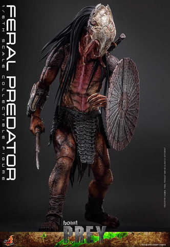 HotToys TMS114 Feral Predator 1/6 Scale 37cm / 14.57''