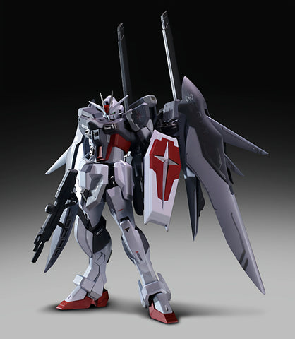 Angry Shinn Asuka Miss Elsa R-Type Model Kit 1/12 Scale