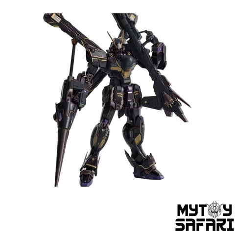 HeiXiu Model Paralyzed Warrior Series MB X2 Pirate Gundam