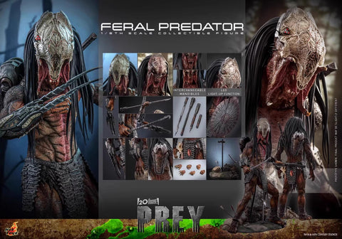 HotToys TMS114 Feral Predator 1/6 Scale 37cm / 14.57''