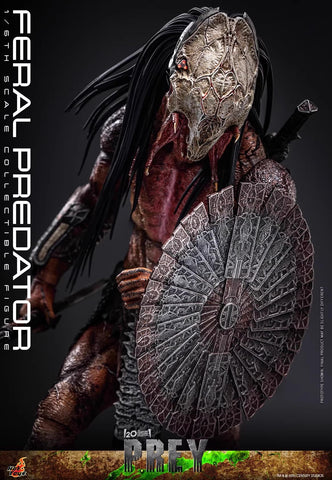 HotToys TMS114 Feral Predator 1/6 Scale 37cm / 14.57''
